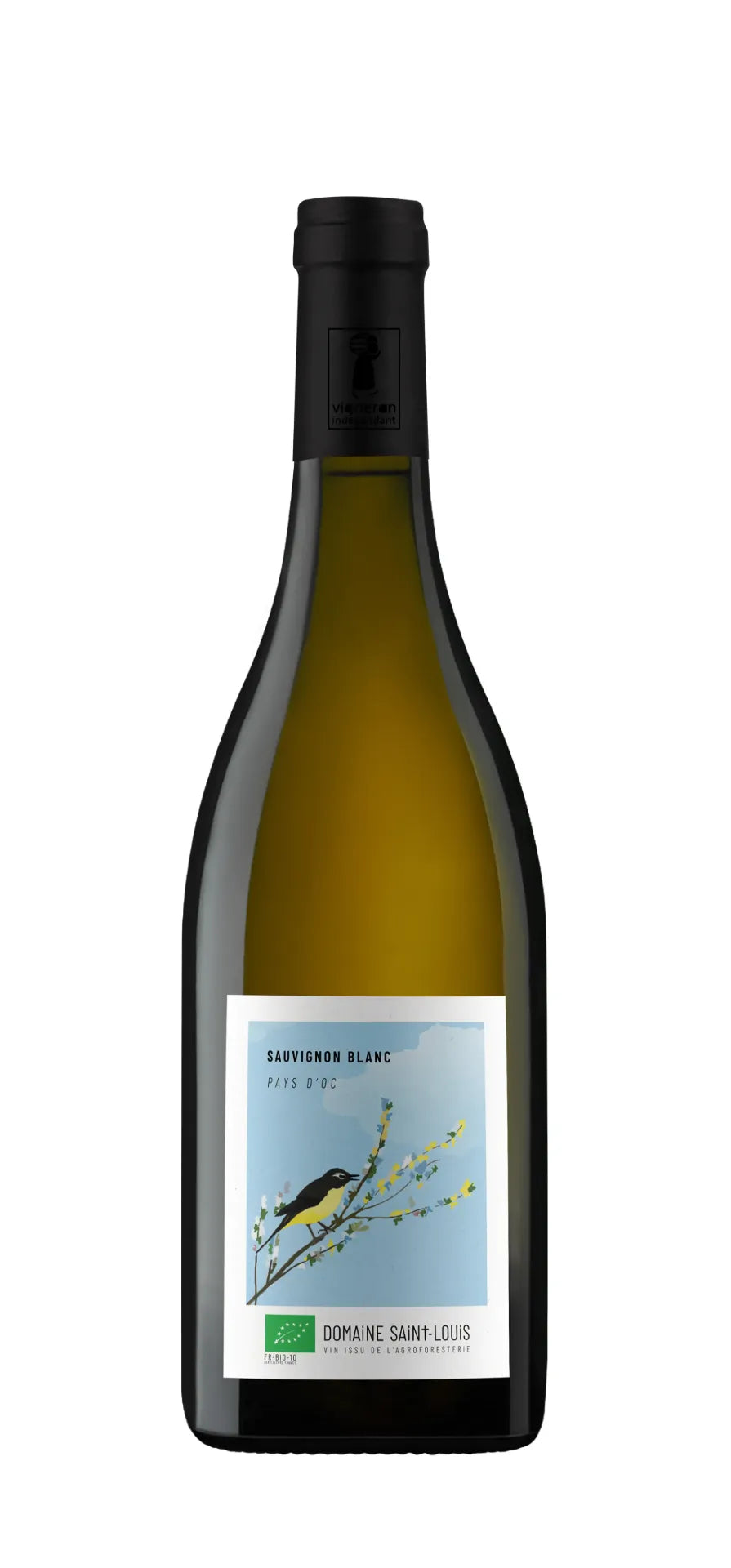 Domaine Saint Louis - Sauvignon Blanc - IGP Pays d'Oc - Blanc - 2025