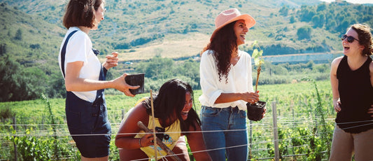 Les coups de cœur de l'équipe