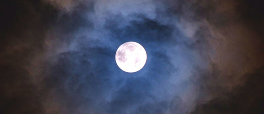Pourquoi les vendanges ont souvent lieu la nuit ?