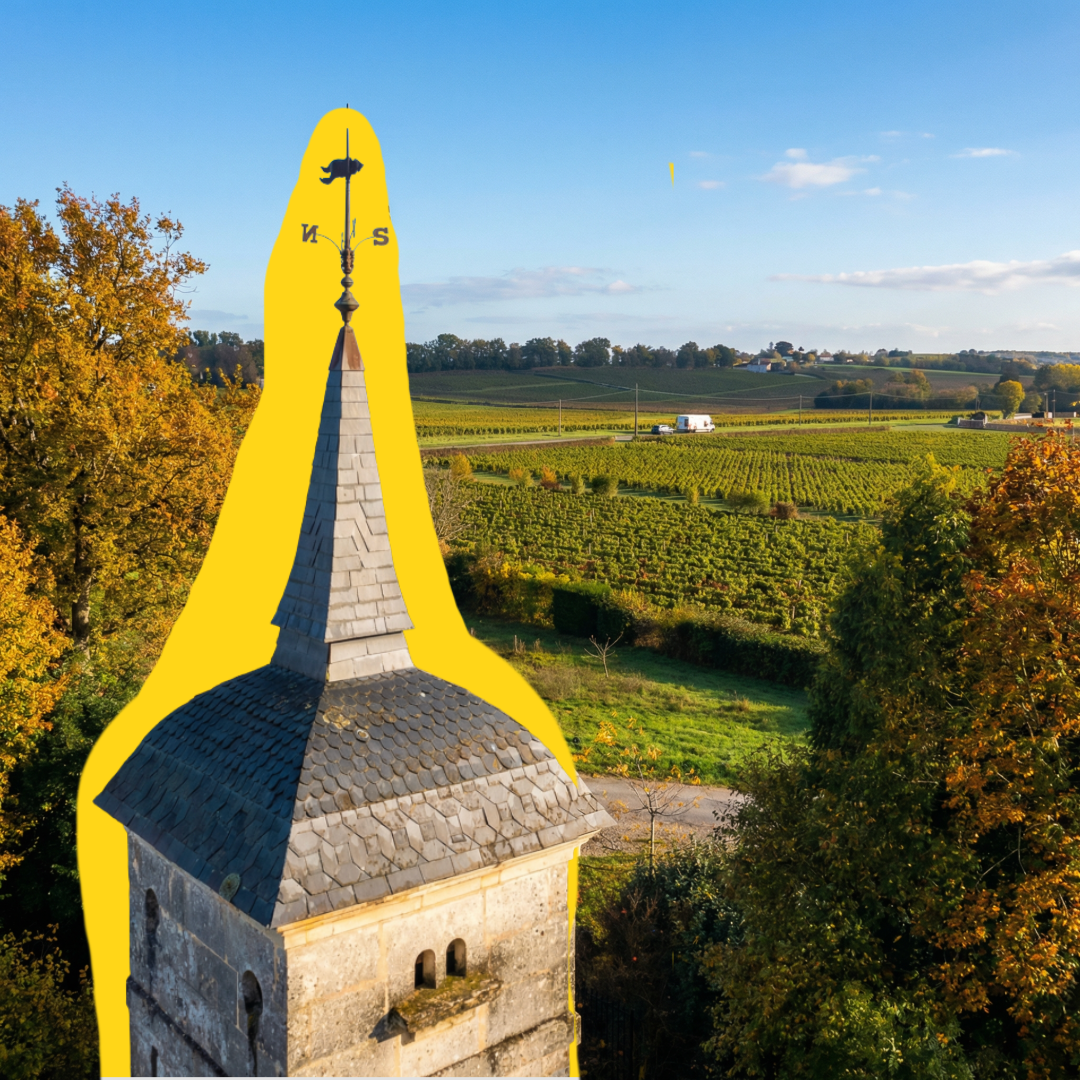 Nos blancs de Bordeaux