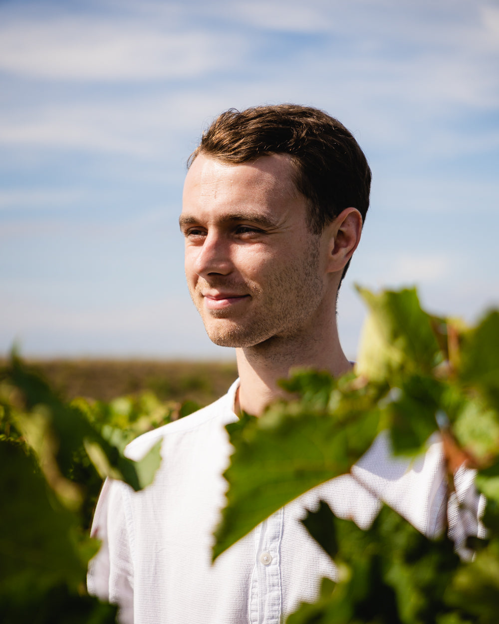 Sequentis - Weiß - Wein aus Frankreich - Weiß - 2024