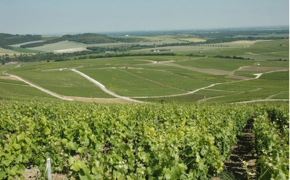 Champagner Augustin