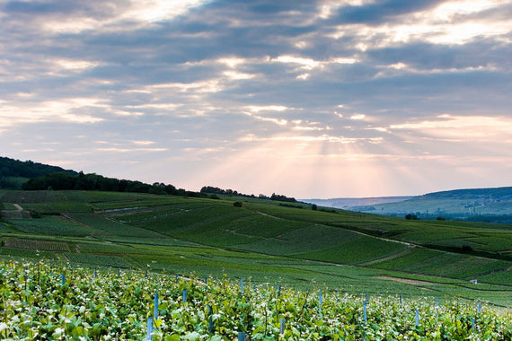 Champagner Beaumont des Crayères