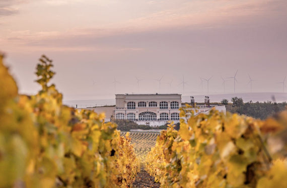 Champagne Le Brun de Neuville