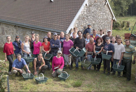 Champagne Saint-Sauveur