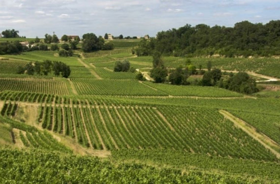 Château Bonnin