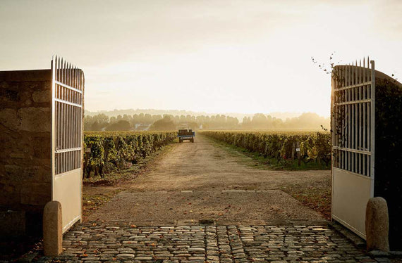 Château Coutet (Sauternes & Barsac)