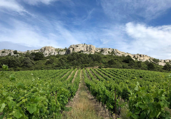 Schloss de Figuières