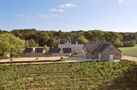 Château de la Mulonnière