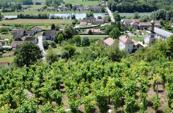 Schloss Lucey
