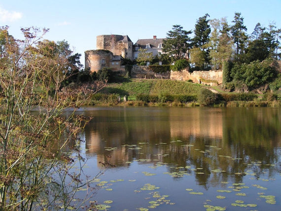 Schloss Passavant