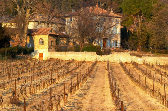 Château de Saint Cosme