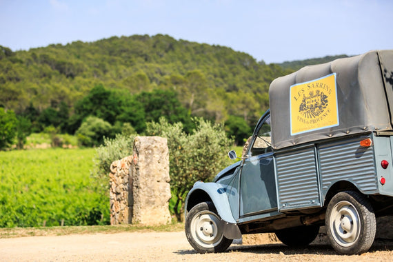 Château des Sarrins