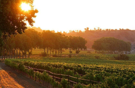 Château La Vernède
