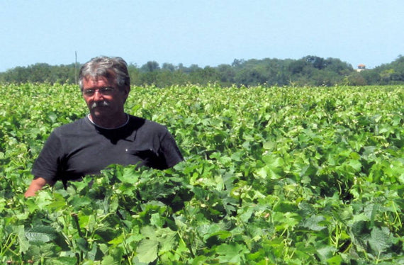 Château Le Sayuquier