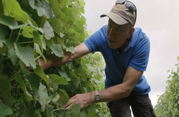 Château Maine Gazin