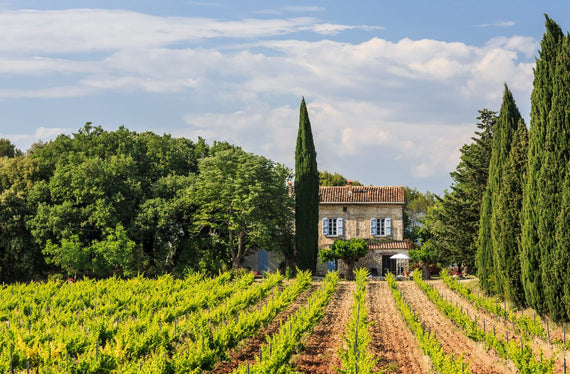 Château Saint-Esprit
