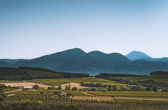 Clos Bellane