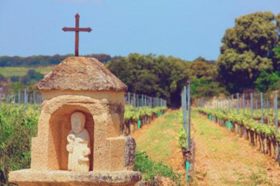 Clos de l'Oratoire (Rhône)