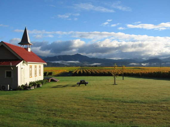 Clos Henri Weinberg