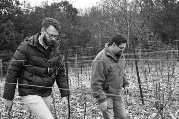 Domaine Cammaous & Caussarelle