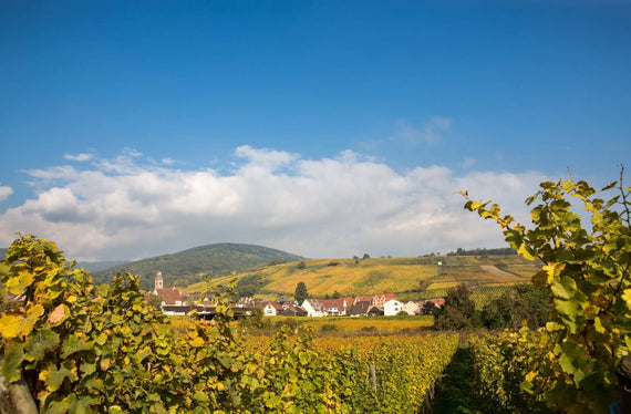 Weingut Charles Sparr