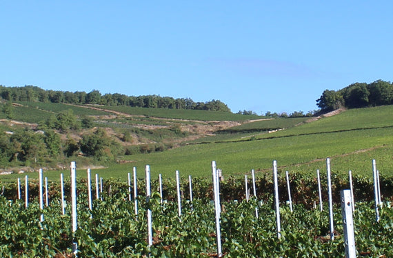Weingut Chofflet