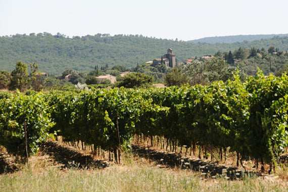 Weingut Domaine d'Aigues Belles