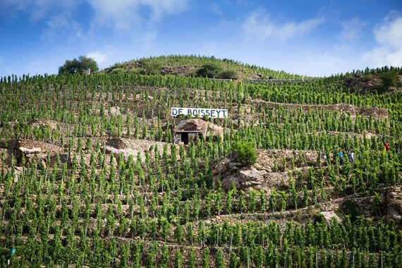 Weingut Domaine de Boisseyt