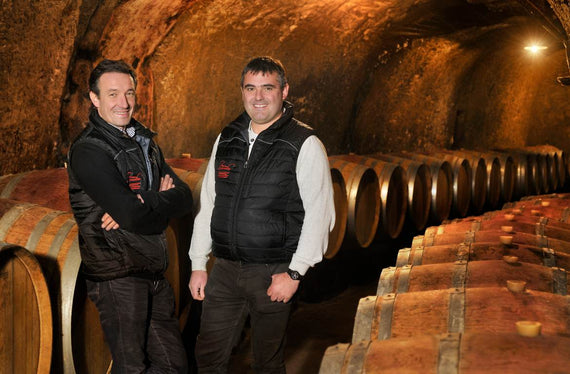 Weingut Domaine de la Bonnelière