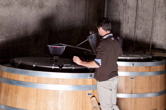 Weingut Domaine de la Cotelleraie