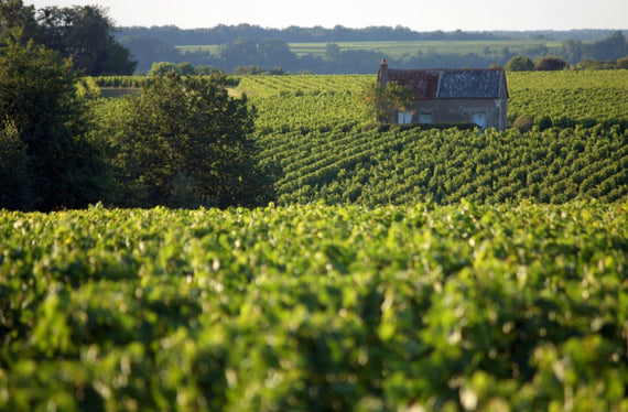 Weingut Domaine de la Croix Mélier