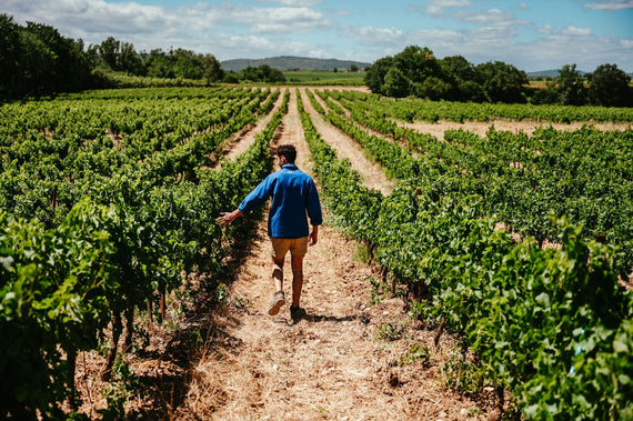 Weingut Domaine de la Dourbie