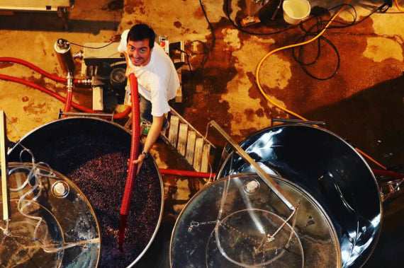 Weingut Domaine de la Massole