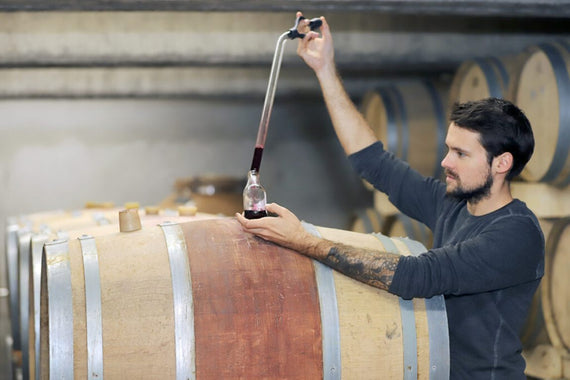 Domaine de La Mongestine