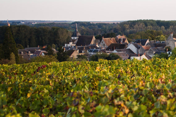 Domäne der Pagerie
