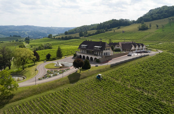 Weingut Domaine de la Pinte