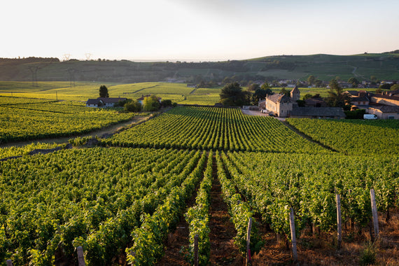 Domaine de la Préceptorie