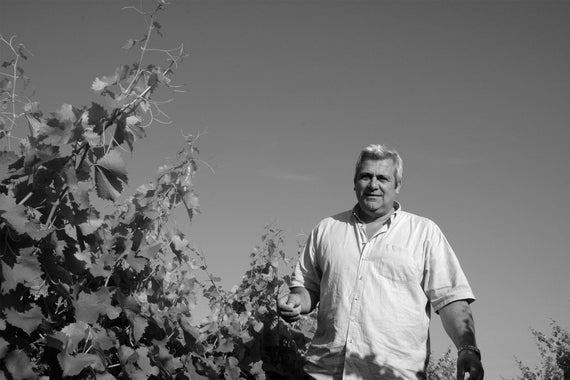 Weingut Domaine de la Tour Boisée