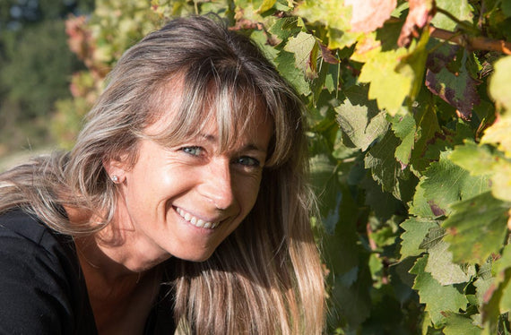 Weingut Domaine de Montvac