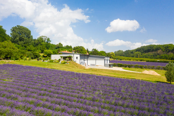 Weingut Delhome