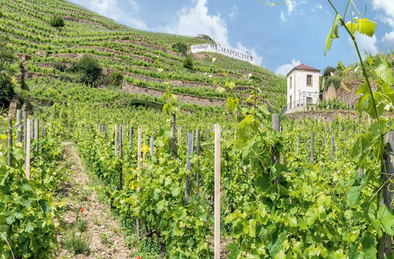 Weingut Domaine des Granges de Mirabel