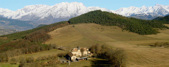 Domäne der Hochgläser