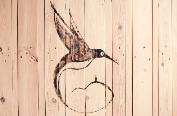Domäne des Kolibris