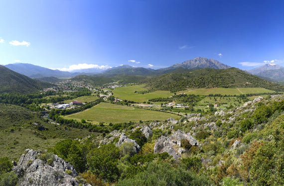Domaine du Mas Bleu
