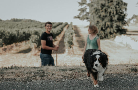Weingut Gayrard