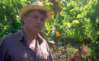 Domaine Guy Farge