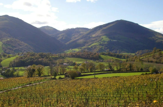 Domaine Ilarria
