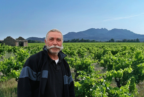 Weingut Le Sang des Cailloux
