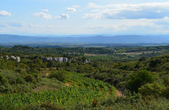 Weingut Les Versteckte Combes